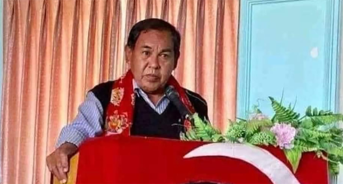 एमसीसी सम्झौताबारे सांसद आलेमगरको दृष्टिकोण : ६ सकारात्मक र ६ नकारात्मक पक्ष